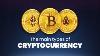 type of crypto